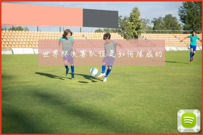 世界杯决赛队伍是如何炼成的