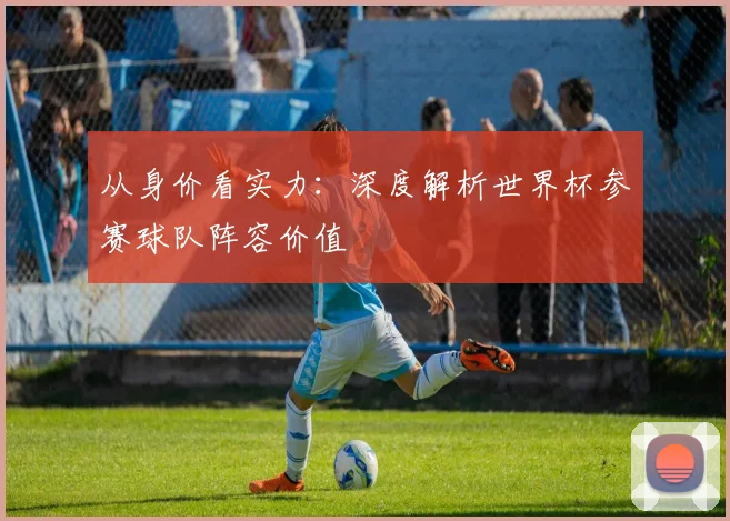从身价看实力：深度解析世界杯参赛球队阵容价值