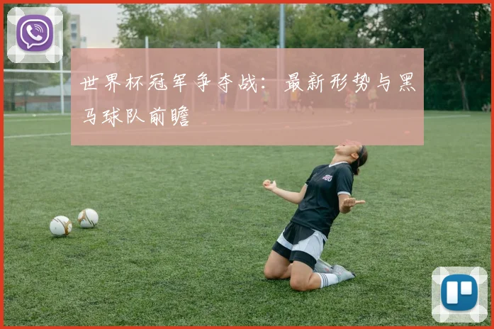 世界杯冠军争夺战：最新形势与黑马球队前瞻