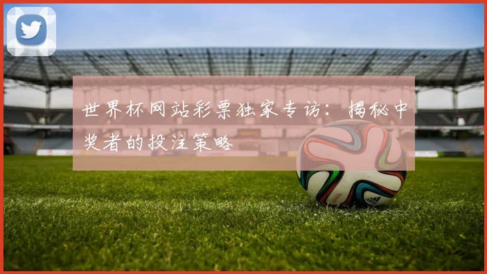 世界杯网站彩票独家专访：揭秘中奖者的投注策略