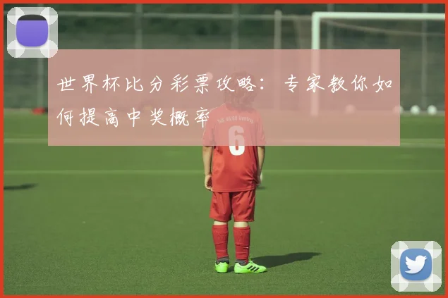 世界杯比分彩票攻略：专家教你如何提高中奖概率